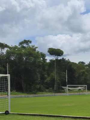O Instituto de Proteção Ambiental do Amazonas (Ipaam) aplicou uma multa de R$ 83 mil a um centro de treinamento de futebol localizado no Ramal do Janauari, em Iranduba (a 27 quilômetros de Manaus), após constatar infrações ambientais. O centro desmatou ilegalmente 2,51 hectares de floresta para a construção da instalação, sem a devida autorização. Além disso, foi identificada a instalação irregular de um poço tubular, também sem a licença necessária. As notificações foram enviadas nesta segunda-feira (10).