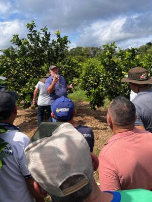 Em Iranduba (a 27 quilômetros de Manaus), 30 agricultores familiares participaram de Demonstrações de Métodos voltadas para a citricultura. À frente da iniciativa, que visa a divulgação de boas práticas relacionadas à produção de laranja, esteve o Instituto de Desenvolvimento Agropecuário e Florestal Sustentável do Estado do Amazonas (Idam).