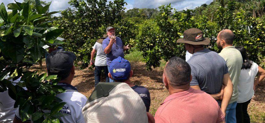 Em Iranduba (a 27 quilômetros de Manaus), 30 agricultores familiares participaram de Demonstrações de Métodos voltadas para a citricultura. À frente da iniciativa, que visa a divulgação de boas práticas relacionadas à produção de laranja, esteve o Instituto de Desenvolvimento Agropecuário e Florestal Sustentável do Estado do Amazonas (Idam).