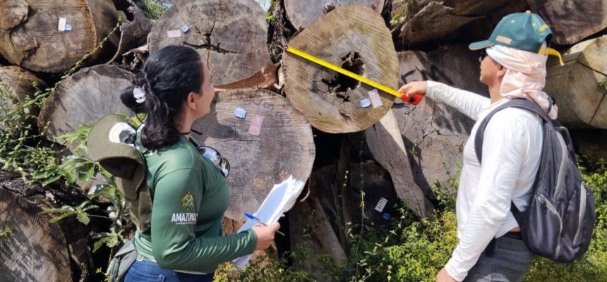 O Ipaam licenciou, em agosto, cinco Planos de Manejo Florestal Sustentável e quatro serrarias nos municípios de Manicoré, Novo Aripuanã...